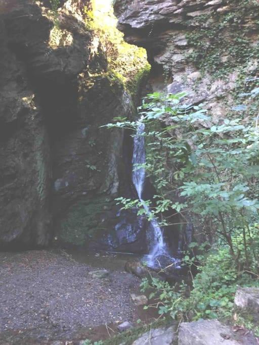 Wohnen Direkt Am Moselstrand Apartamento Bernkastel-Kues Exterior foto