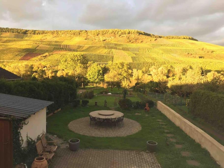 Wohnen Direkt Am Moselstrand Apartamento Bernkastel-Kues Exterior foto