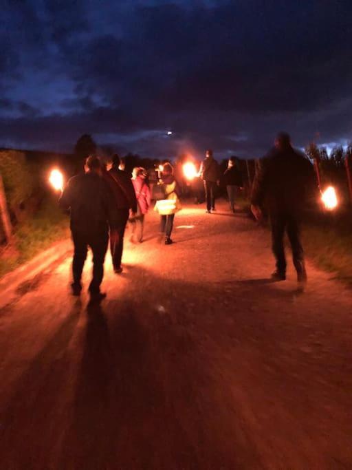 Wohnen Direkt Am Moselstrand Apartamento Bernkastel-Kues Exterior foto