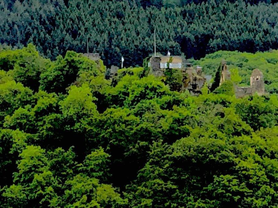 Wohnen Direkt Am Moselstrand Apartamento Bernkastel-Kues Exterior foto