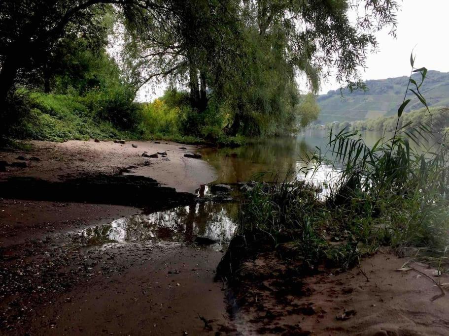 Wohnen Direkt Am Moselstrand Apartamento Bernkastel-Kues Exterior foto