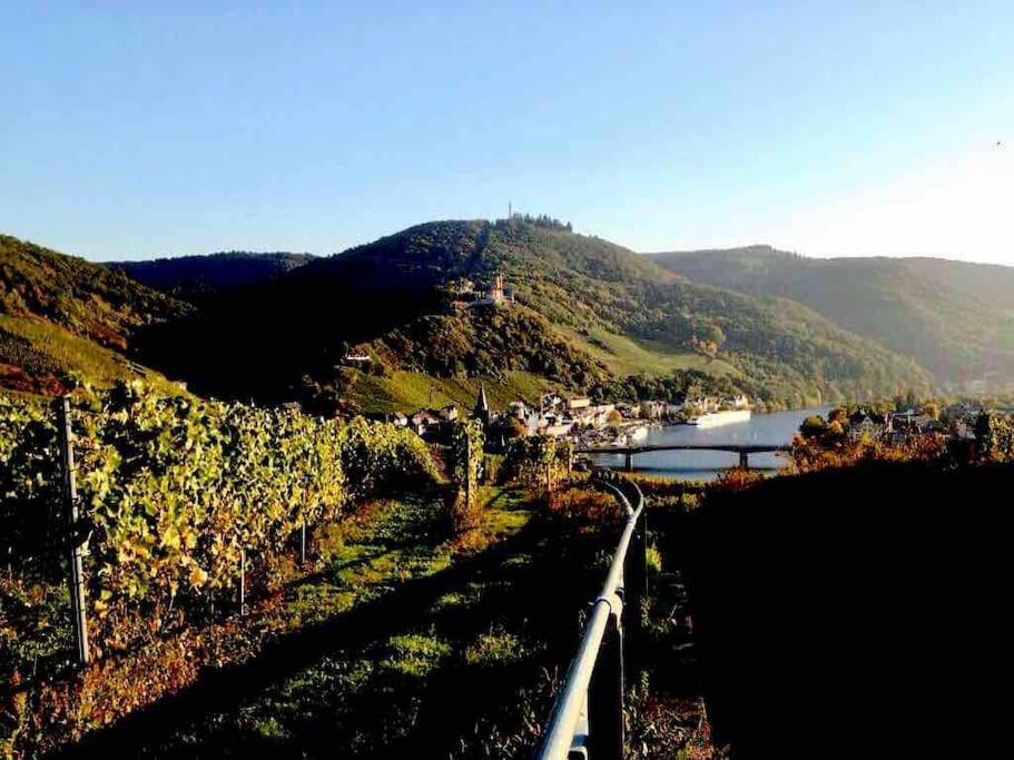 Wohnen Direkt Am Moselstrand Apartamento Bernkastel-Kues Exterior foto